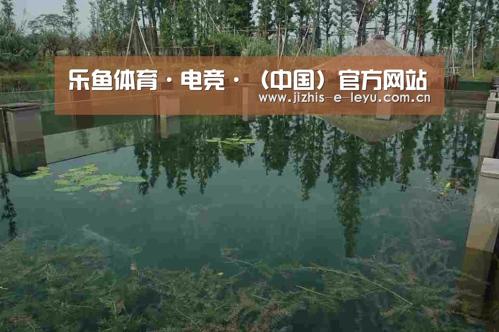 案例展示二