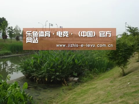 案例展示四