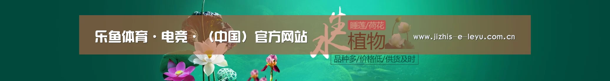 鲜花水草花卉网站模板