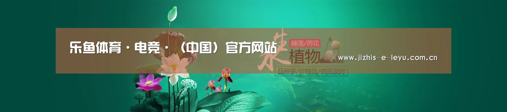 鲜花水草花卉网站模板