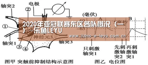 乐鱼体育