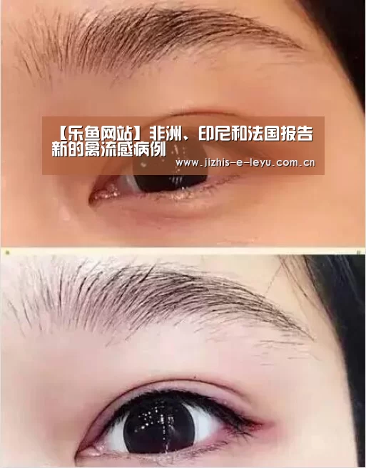 【乐鱼网站】非洲、印尼和法国报告新的禽流感病例(图3) 乐鱼网站