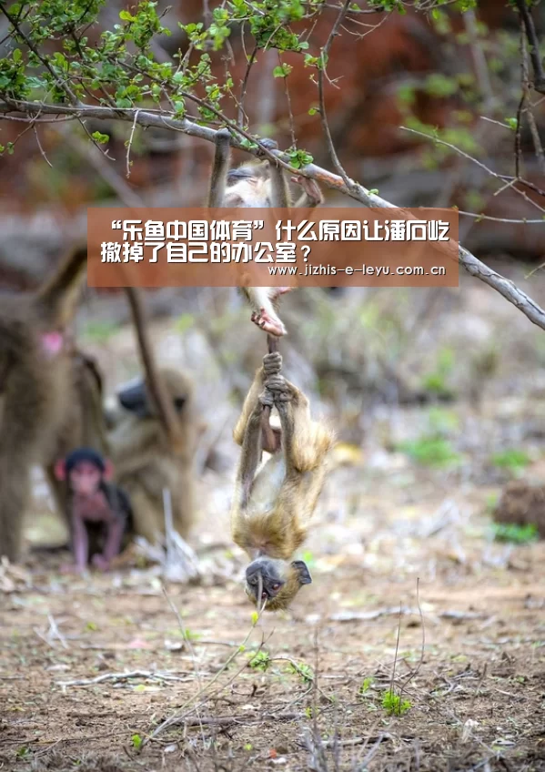 “乐鱼中国体育”什么原因让潘石屹撤掉了自己的办公室?(图1) 乐鱼中国体育